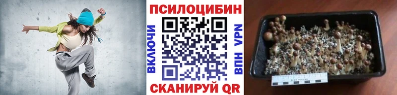 Псилоцибиновые грибы MAGIC MUSHROOMS  где найти наркотики  Дедовск 
